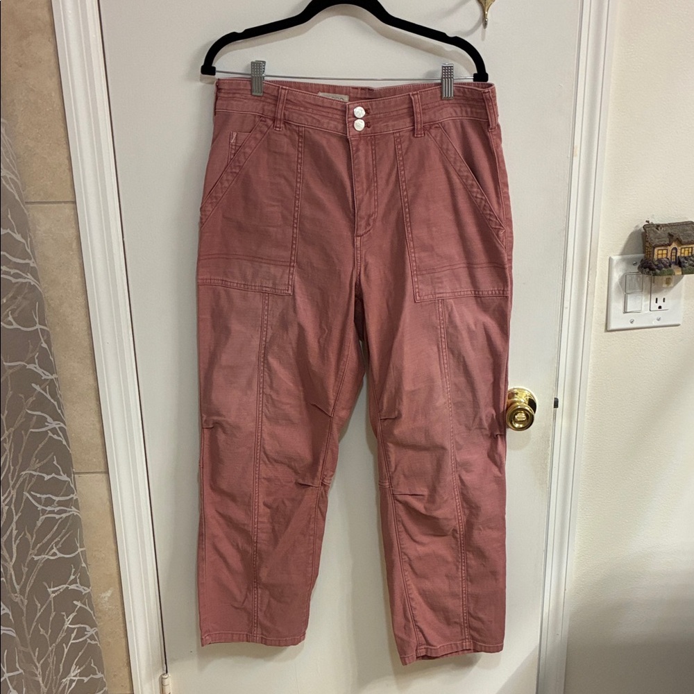 Anthropologie Pilcro Women’s Rose Cargo Pants in Sz 30